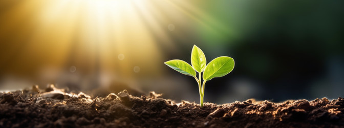 Similar image 21753520