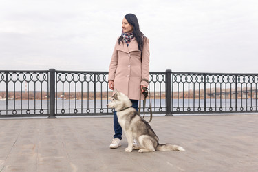 Similar image 21756628