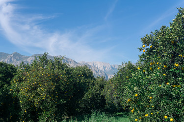 Similar image 21753152