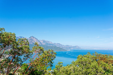 Similar image 21753159