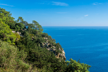 Similar image 21753162