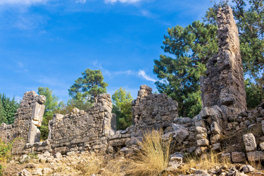 Similar image 21753169