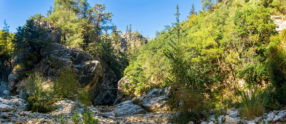 Similar image 21754624