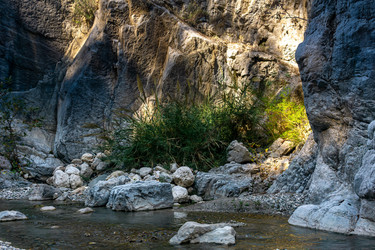 Similar image 21754626