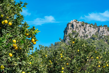 Similar image 21754841