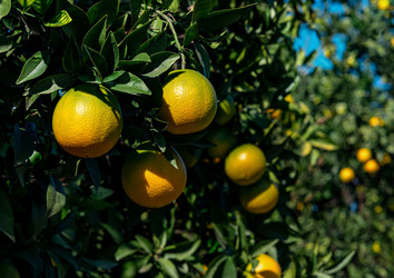 Similar image 21754844