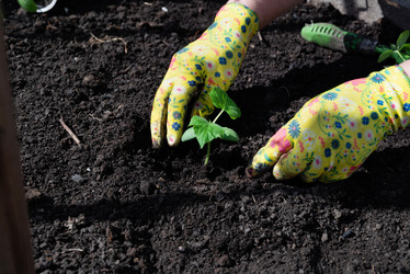 Similar image 21752979