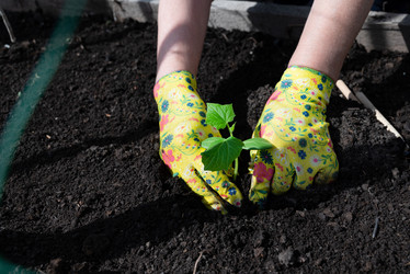 Similar image 21752980