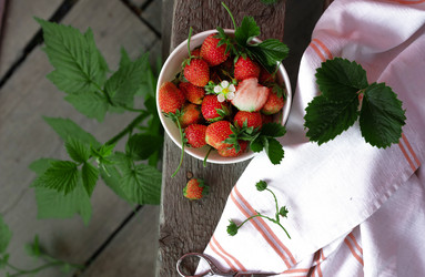 Similar image 21752983