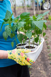 Similar image 21752995