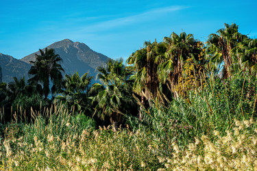 Similar image 21756053