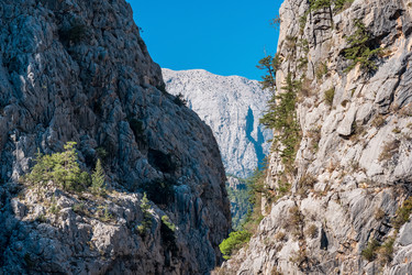 Similar image 21756258