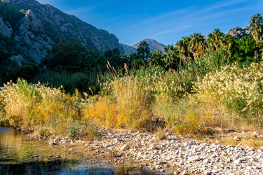 Similar image 21756434