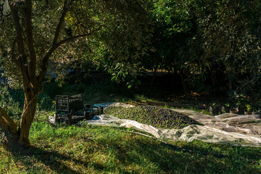 Similar image 21756436