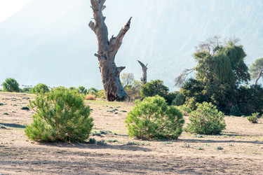 Similar image 21756639