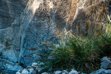 Similar image 21757456