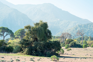 Similar image 21757457