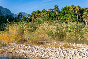 Similar image 21753172