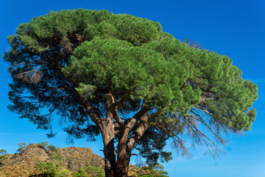 Similar image 21753175