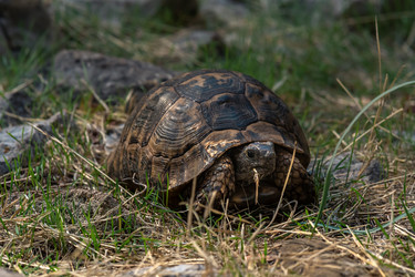 Similar image 21753179