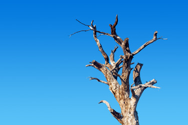 Similar image 21753191