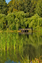 Similar image 21761466