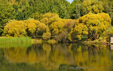 Similar image 21761467