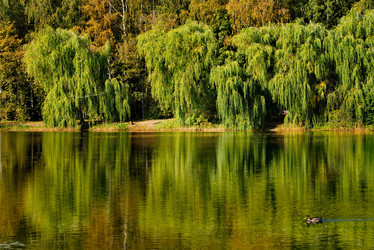 Similar image 21761468