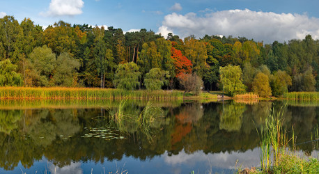 Similar image 21761469