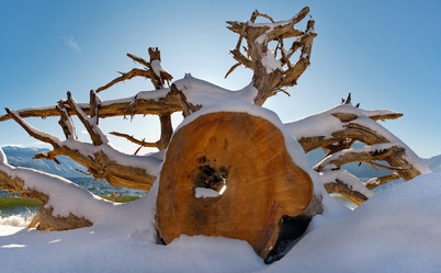 Similar image 21765036