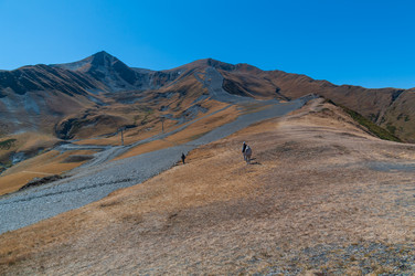 Similar image 21753528