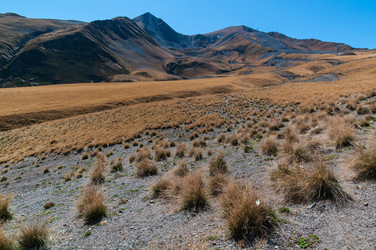 Similar image 21753529