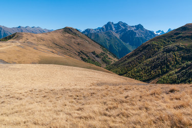 Similar image 21754421