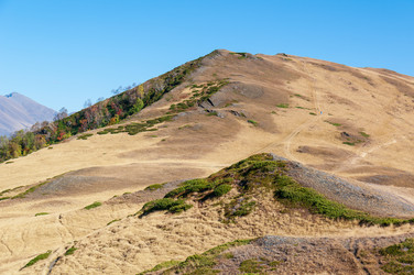 Similar image 21753532