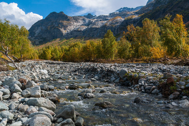 Similar image 21753541