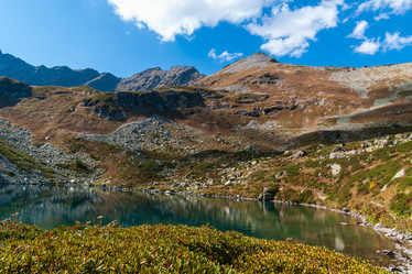 Similar image 21754424