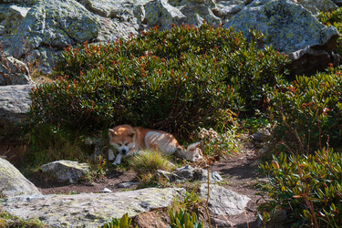 Similar image 21754425