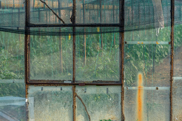 Similar image 21755254