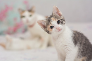 Similar image 21756781