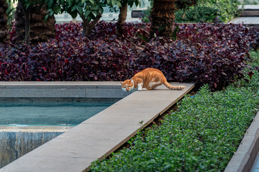 Similar image 21755875