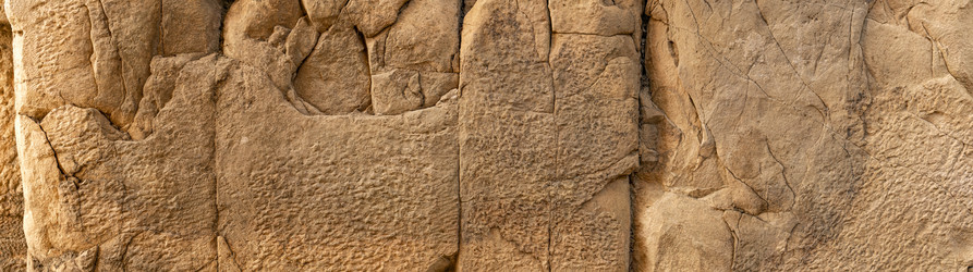 Similar image 21756263