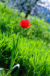 Similar image 21760335