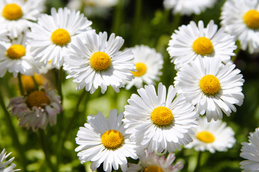 Similar image 21760336