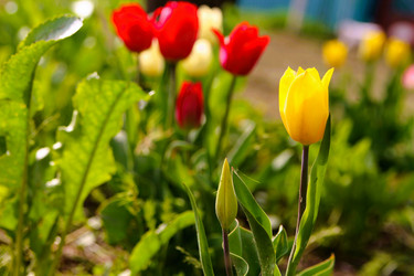 Similar image 21764641