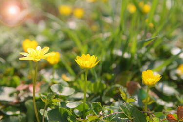 Similar image 21760338