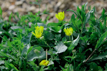 Similar image 21760340