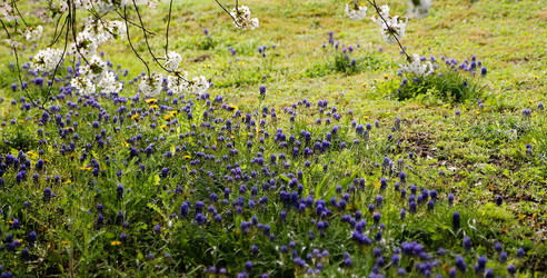 Similar image 21760341