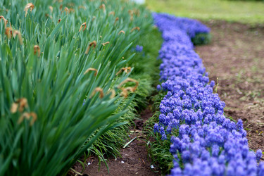 Similar image 21760342