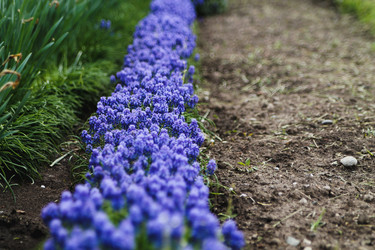 Similar image 21760343