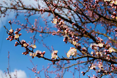 Similar image 21760344